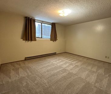 1 Bedroom Apartment in Caswell Hill - Photo 3