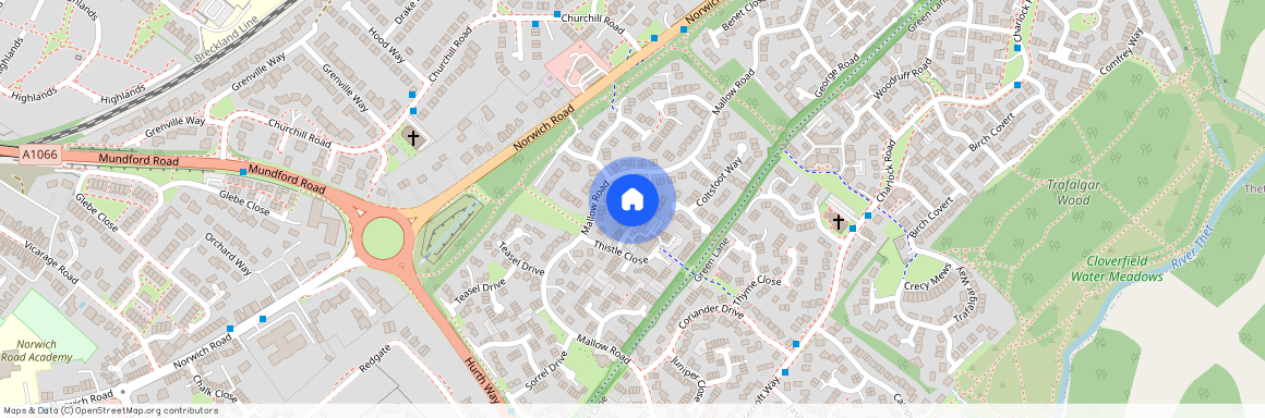 Thistle Close, Thetford, IP24