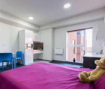 Premium Studio, Poulson House, Stoke-on-trent Student Village, ST4 - Photo 1