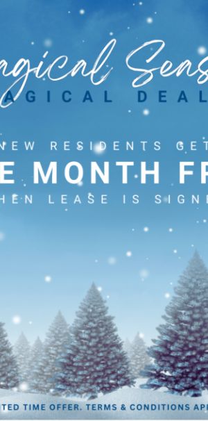 Lakeshore Apartments - Photo 1