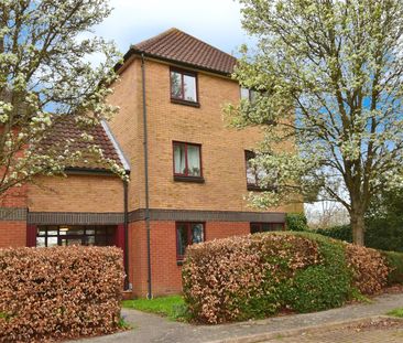 Burgess Place, Martlesham Heath, Ipswich, IP5 3QZ - Photo 1