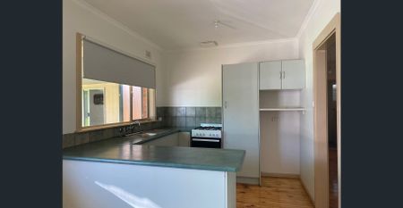 Light-filled 3-Bed Family Home with Huge Rumpus on Corner Block - Photo 3