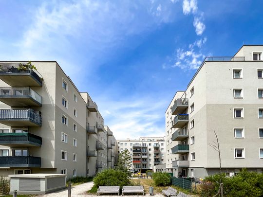 3 Zimmer mit Balkon | Viola Park | verfügbar ab Mai - Photo 1