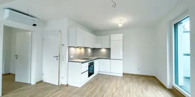 2 Zimmer mit Klimaanlage und Terrasse | Ruhelage | Badeteich Hirschstetten in Fußnähe - Photo 3