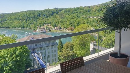 4½ Zimmer-Wohnung in Neuhausen am Rheinfall (SH), möbliert, auf Zeit - Foto 2