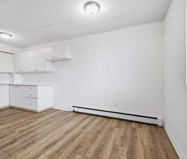 For Lease - 19 Manchester Avenue Unit# 301, St. Catharines, Ontario - Photo 4