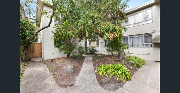 Stylish, Spcious & Tranquil - Photo 1