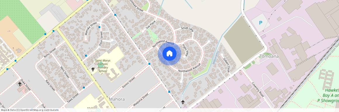 60 Northwood Avenue, Mahora, Hastings