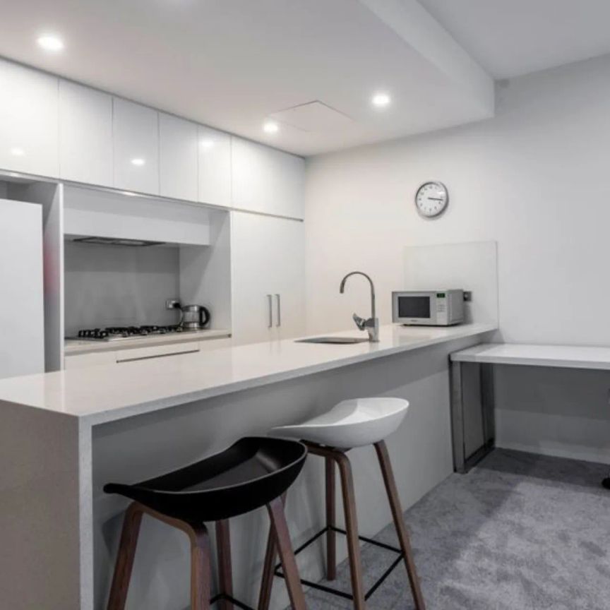 Fully Furnished Executive Apartment with Lake Views - Photo 1