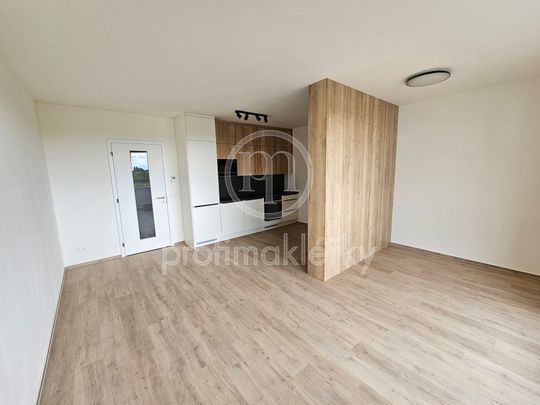 Pronájem bytu 1+kk a garsoniéry 37 m² - Photo 1