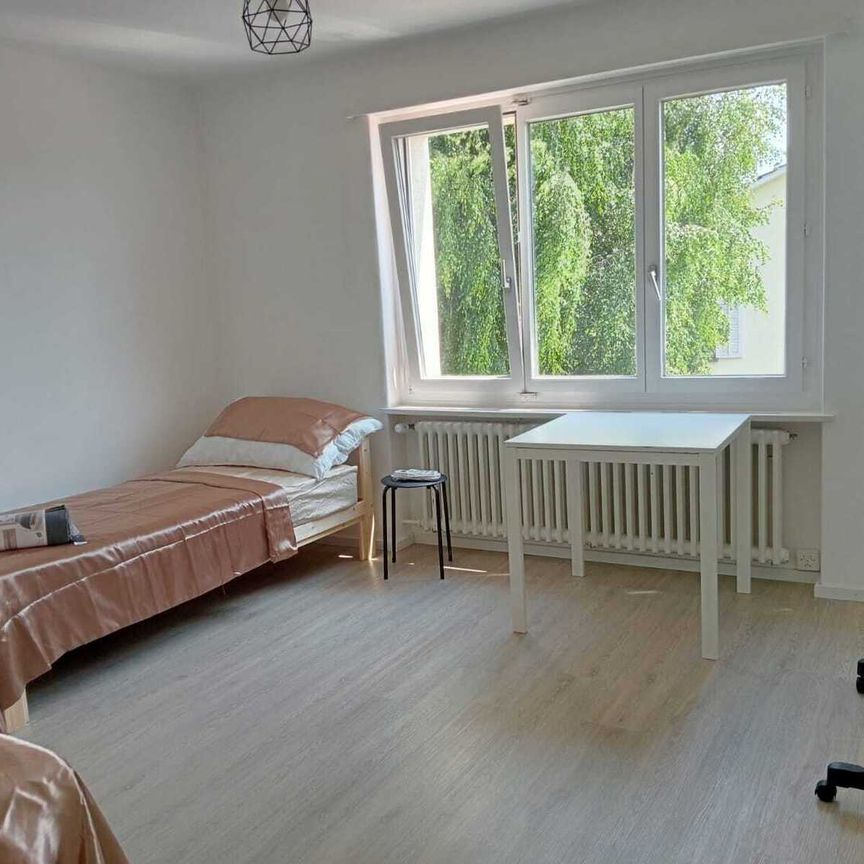 APPARTEMENT DE 5 PIÈCES À EGG B. ZURICH (ZH), MEUBLÉ - Photo 1