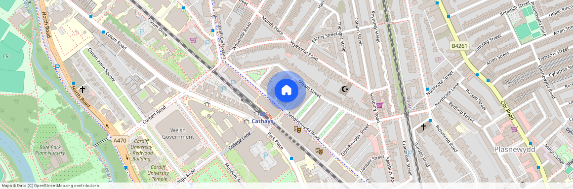 Llandough Street, CF24 4AW, Cathays