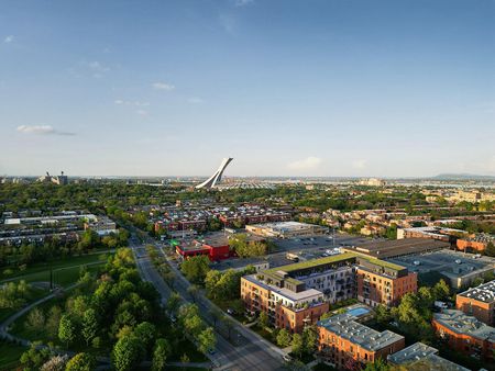 3420 Boulevard Saint-Joseph Est, Montréal, QC - Photo 5