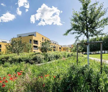 Charmant appartement à Estavayer-le-Lac au coeur d'un écoquartier - Photo 1