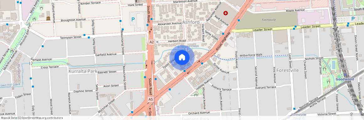 19 Tyson Street, SA 5035, Ashford