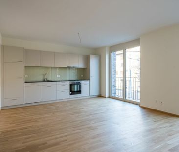 Nähe Weil am Rhein - moderne 4 1/2-Zimmer-Wohnung im 1.OG / ideal f... - Foto 5