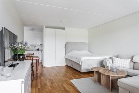 Växthusvägen, Bro - Photo 2