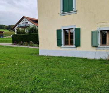 Charming 2.5 room apartment on the ground floor for rent - Photo 3