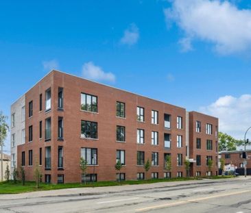 9510 Rue Notre-Dame E., app.303, H1L 3P3, Montréal - Photo 4