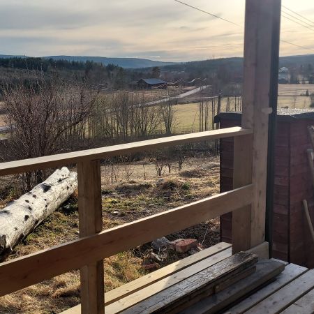 Dala, Skog - Foto 4