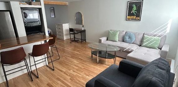 Nouveau rosemont appartement tout inclus - Photo 2