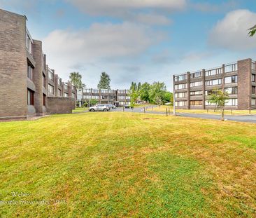 Parklands Gardens, Walsall - Photo 3