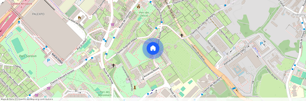 Chemin Auguste-Vilbert 56, 1218 Le Grand-Saconnex