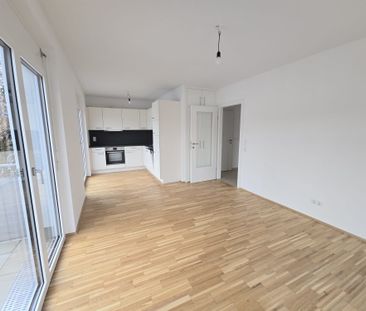 Neuwertige, geförderte 4 Zimmer-Wohnung mit großer TERRASSE in Egge... - Foto 3