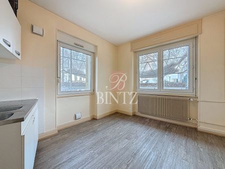 Location Appartement 2 pièces 52m² SCHILTIGHEIM 67300 - Photo 3