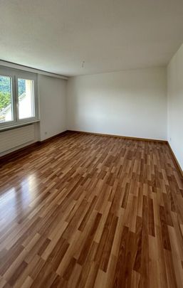 Industriestrasse 18, 9430 St. Margrethen SG - Foto 1