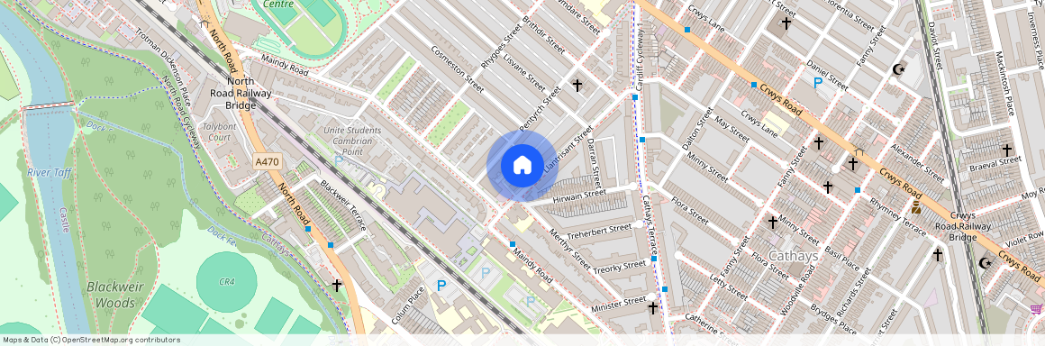 Llantrisant Street, CF24 4JE, Cathays