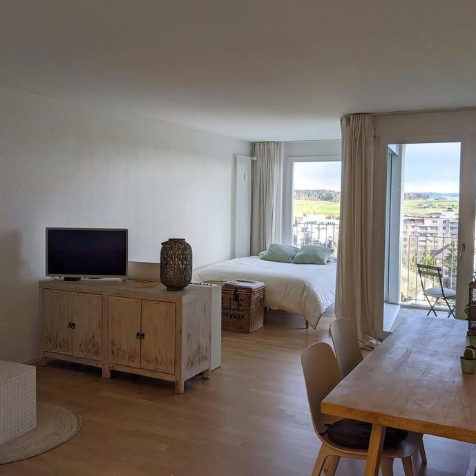Moderne 1.5-Zimmer-Wohnung im Grünen zu vermieten - Photo 1