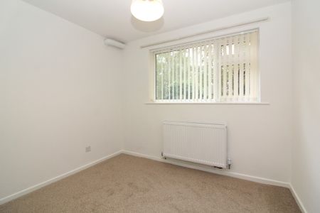 1 Bedroom Apartment - Photo 4
