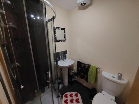 Flat 3, 24 Cromwell Road, Belfast, BT7 1JW - Photo 5