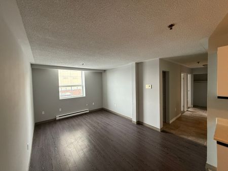 One Bedroom Apartment - Photo 4