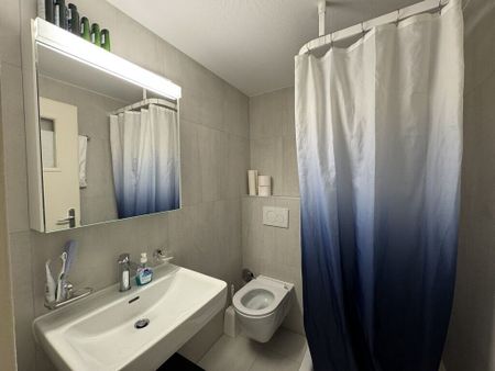 Appartement rénové proche de toutes commodités - Photo 2