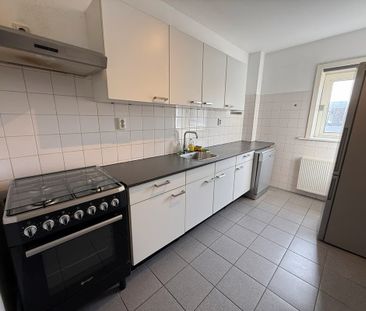 Bolestein 198 3 - Foto 5