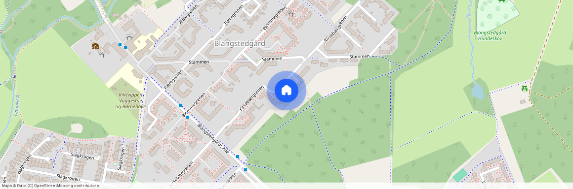Kirsebærgrenen 81 - 113, 5220 Odense SØ