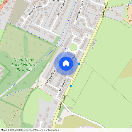 Lily Gardens Dipton, Stanley