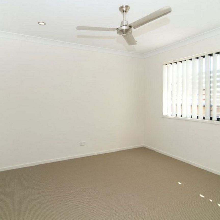 1/15 Gostwyck Street, Newtown - Photo 1