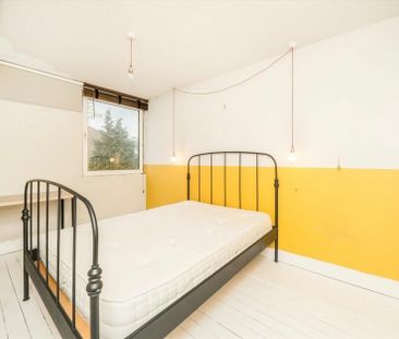 Shrubland Road - Photo 5