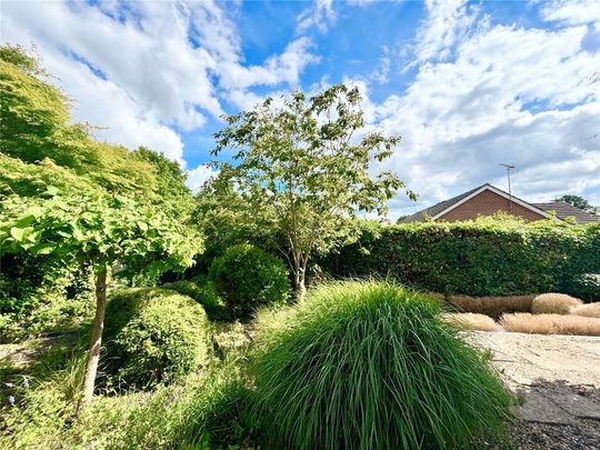 3 bedroom semi-detached house to rent - Photo 1