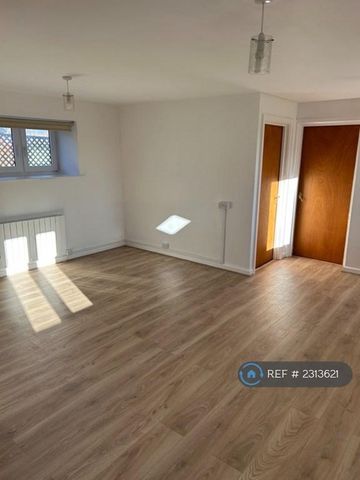 1 bedroom semi-detached house to rent - Photo 2