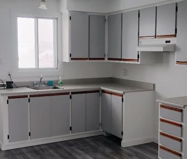 4 1/2 à Mascouche /Terrebonne disponible avril ou juillet - Photo 1