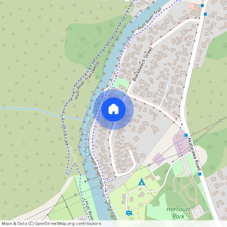 54 Black Beech Street, Birchville