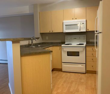 TOP FLOOR 2 BED, ALL UTILITIES INCLUDED!! - Photo 5