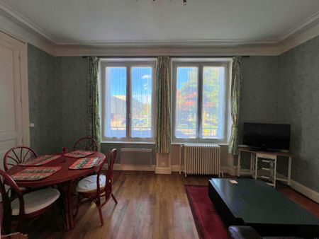 NANCY / RIVES DE MEURTHE : JOLI ET SPACIEUX APPARTEMENT MEUBLÉ T2 - Photo 2