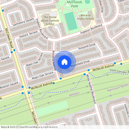 9 Maresfield Drive Unit# Basement, Toronto