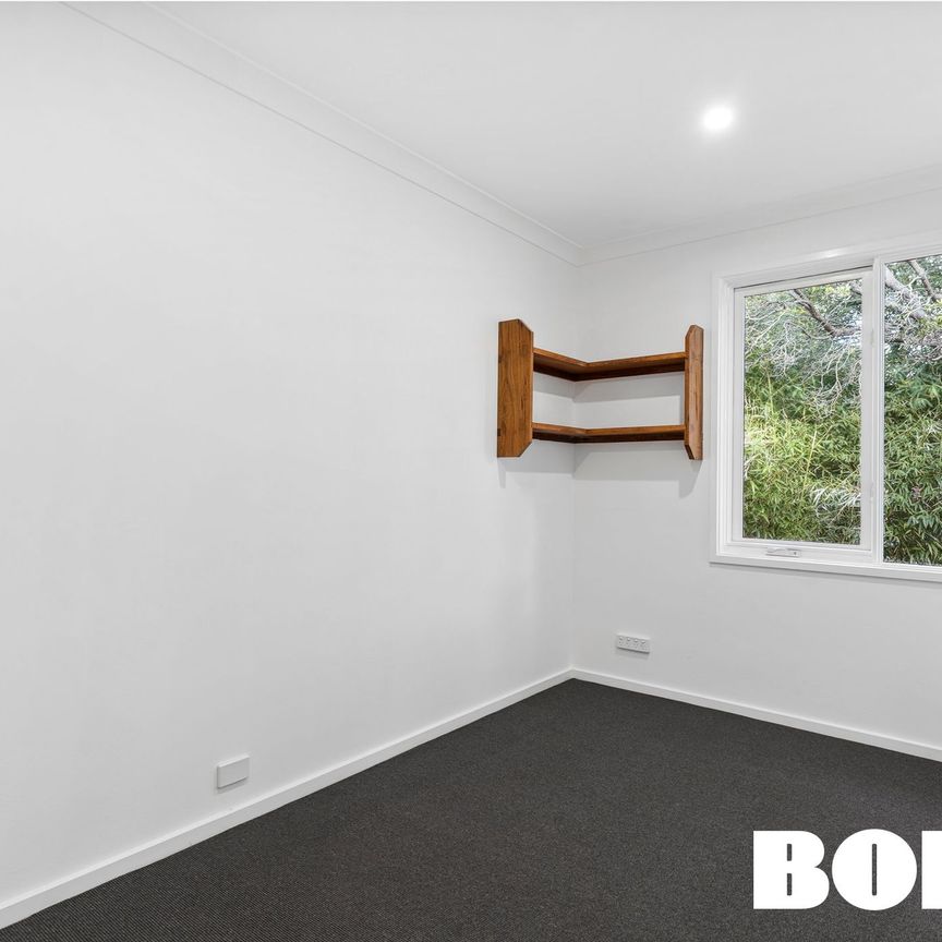 13B Batman Street, Braddon ACT 2612 - Townhouse For Rent | Domain - Photo 1