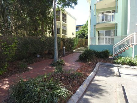 3 / 16 Lissner Street, Toowong - Photo 4